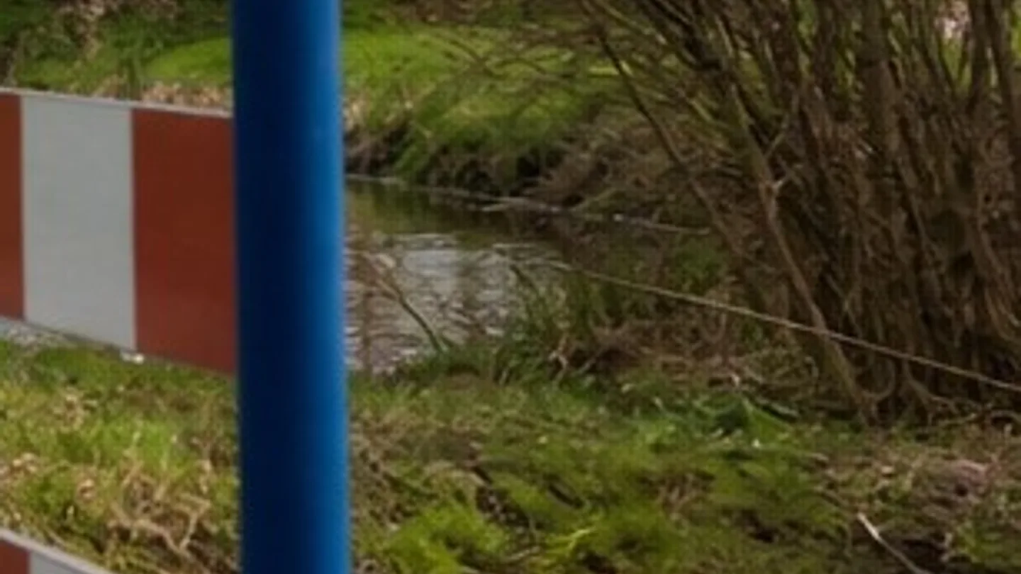 Redactioneel rasterbeeld over familieonderzoek